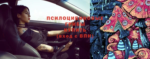 герыч Алексин