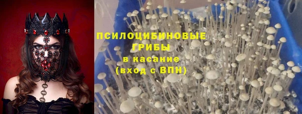 первитин Алексеевка